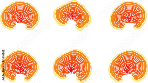 A set of logo Lacquered Tinder mushroom, or lacquered Ganoderma (also possible names Lingzhi or Reishi (Ganoderma lucidum)