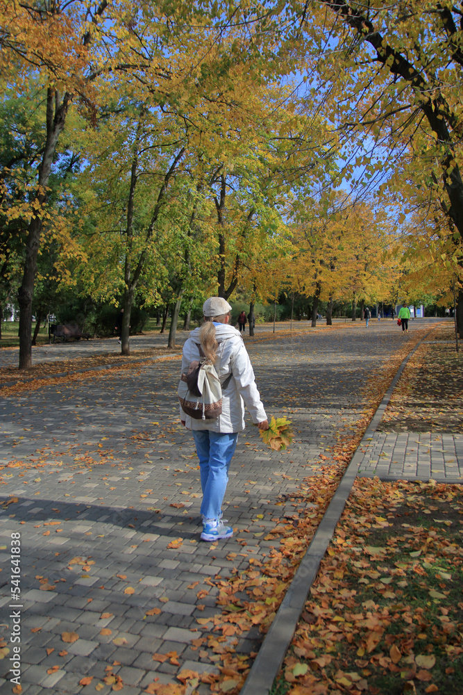 Obraz premium Walking through the public autumn park with bunches of yellow leaves in hand.