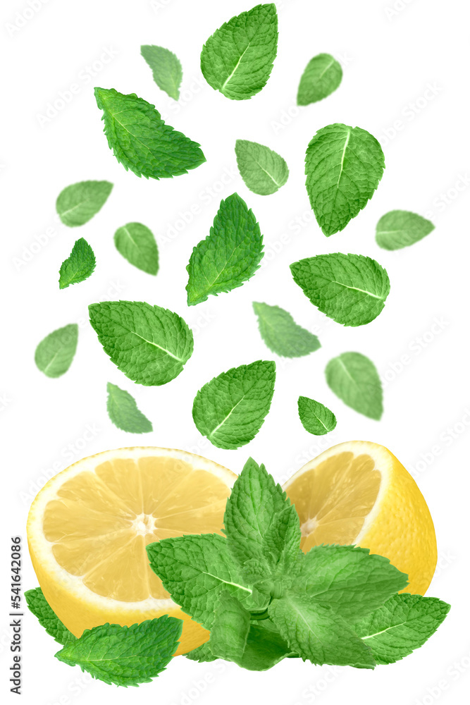 Half a lemon and levitating mint leaves isolated on transparent background.