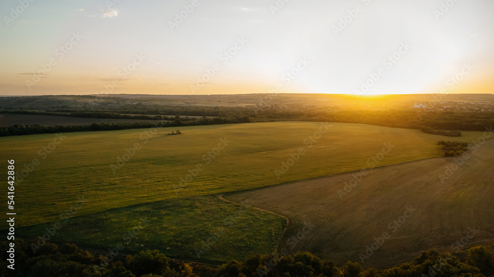 Fototapeta premium Aerial view of forest horizon, sky and agricultural fields in summer at sunset.