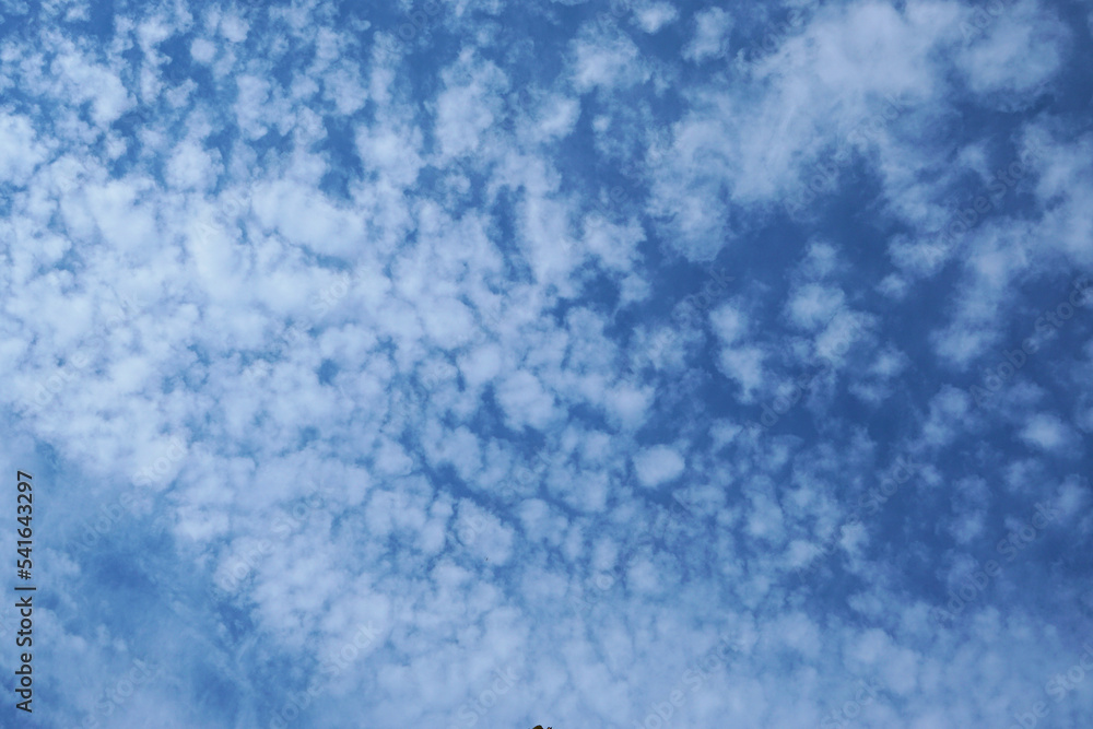 Obraz premium 鱗雲