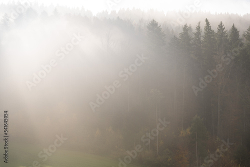 wafts of fog in the mountains of Austria