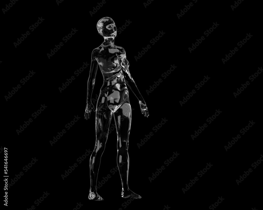 Three dimensional model. Transparent figure of a naked bald woman on a black background. Three dimensional model. Transparent figure of a naked bald woman on a black background.