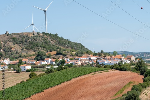 Agricultural field in the Oeste zone, Torres vedras, Portugal on a sunny day photo
