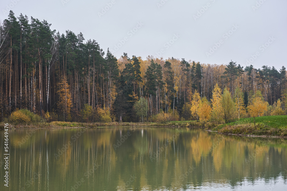 Pond surrounded by yellow trees in afternoon. Pond surrounded by yellow trees in afternoon.