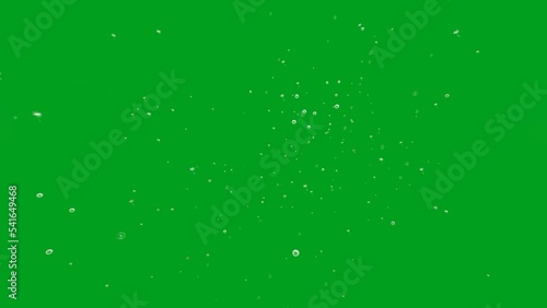 Green screen animation video of flower pollen flying in the wind
