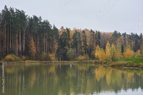 Pond surrounded by yellow trees in afternoon.