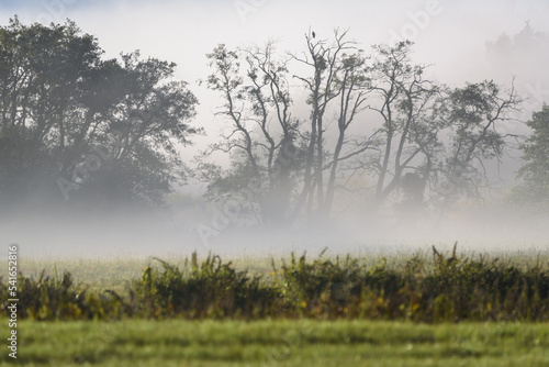 Wallpaper Mural MISTY LANDSCAPE - Autumn morning in the river valley  Torontodigital.ca