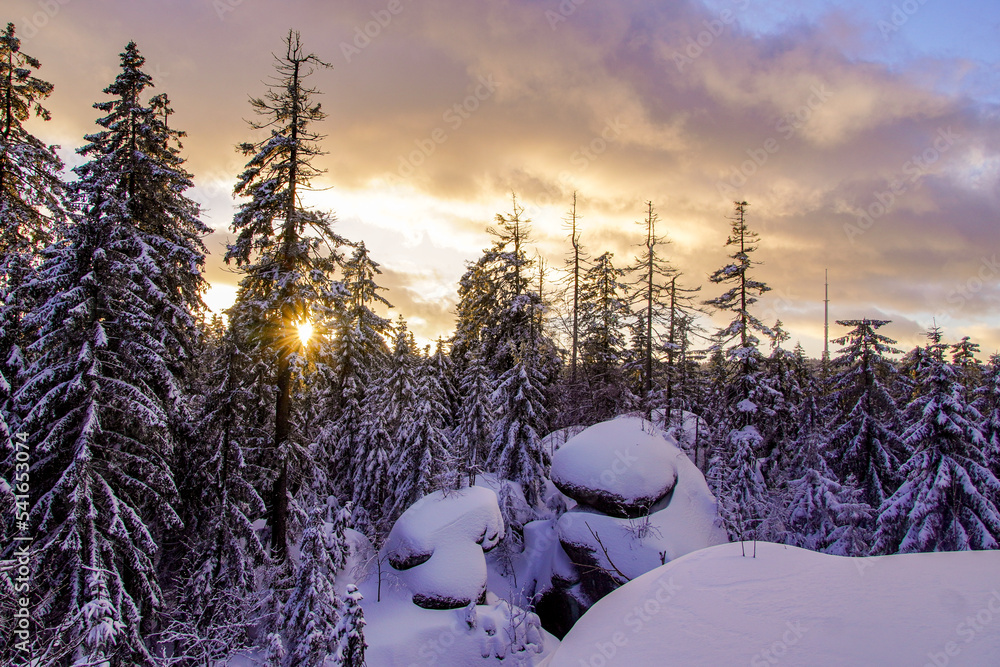 Obraz premium Winter Fichtelgebirge