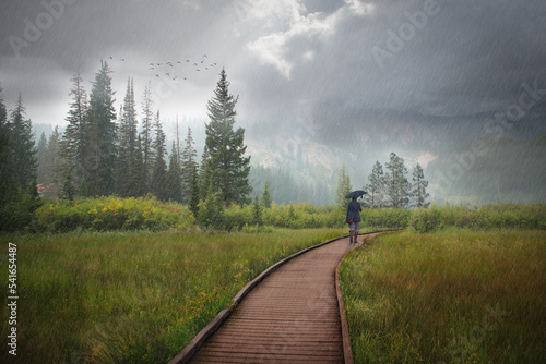 Distant rear view of a woman walking along a boardwalk in the Rain, Mirror Lake, Utah, USA photo