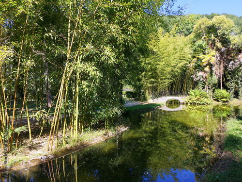 Japanese-style garden in Se  or  o de Bertiz  Navarra 