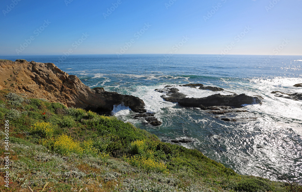 Point Arena - California