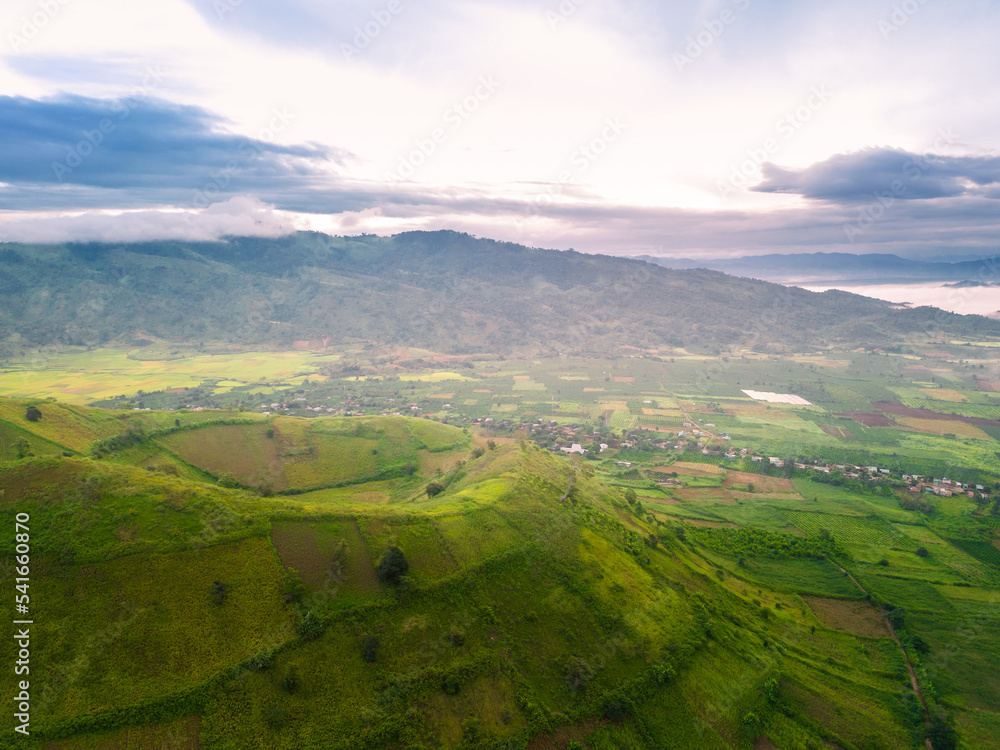 Fototapeta premium Aerial view of Bien Ho Che or Bien Ho tea fields, Gia Lai province, Vietnam. Workers of the tea farm are harvesting tea leaves in the early morning.