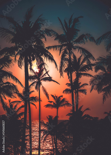 Fotobehang Palm trees in the beautiful sunset time with moody orange sky