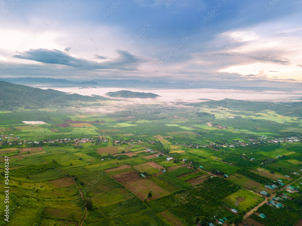 Aerial view of Bien Ho Che or Bien Ho tea fields, Gia Lai province, Vietnam. Workers of the tea farm are harvesting tea leaves in the early morning.