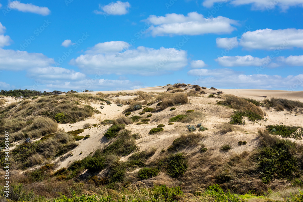 Fototapeta premium Guincho beach sand dunes