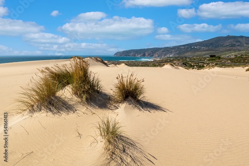 Guincho beach sand dunes