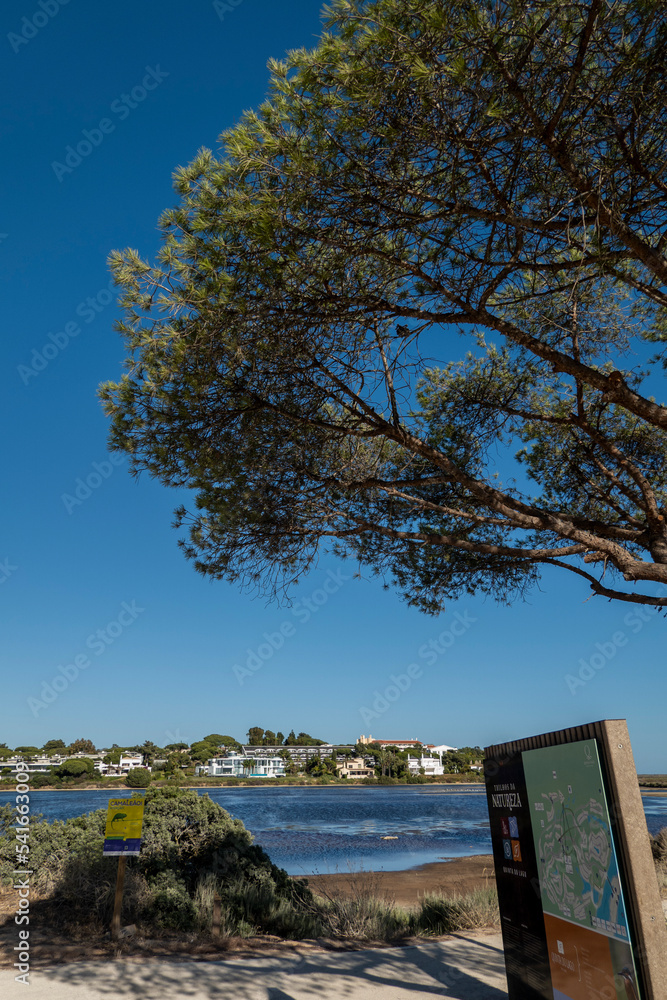 Obraz premium Landscape view of the marshlands of Ria Formosa
