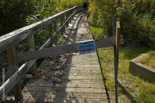 Boardwalk damaged by flood at Yukon-Kuskokwim Delta in Carmacks Yukon Canada North America 