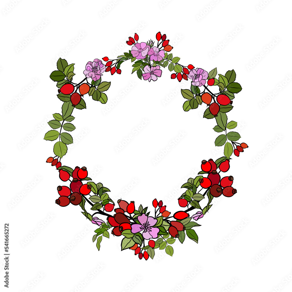 Wreath with wild rose branch, leaf, flower and berry. Collection of dog rose: branch of roseship, dog rose berries, flowers and leaves. Cosmetic and medical plant. Botanical illustration with line art