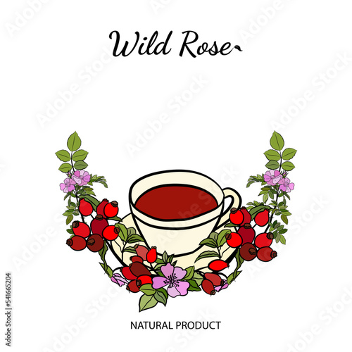 Hand drawn wild rose branch, leaf, flower and berry. Collection of dog rose: branch of roseship, dog rose berries, flowers and leaves. Cosmetic and medical plant. Botanical illustration with line art.