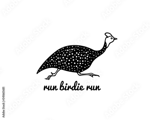 Vector card with hand drawn hastily running helmeted guinea fowl made in cartoon style. Ink drawing, graphic illustration, heavy contour. Beautiful design elements