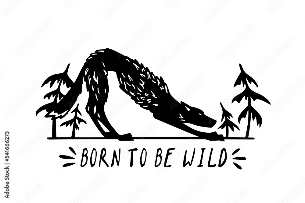 Vector card with hand drawn cute skinny stretching wolf on woody background. Ink drawing, graphic style. Beautiful design elements, logo template Vector card with hand drawn cute skinny stretching wolf on woody background. Ink drawing, graphic style. Beautiful design elements, logo template