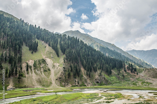 Fine Trees forest Landscape Naran Jhalkand  photo