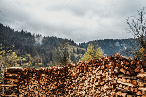 harvesting firewood for the winter, logging for the heating season