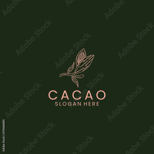 Chocolate, cocoa fruits logo template. Chocolate cocoa beans cocoa pod and plant cacao vector design Nature.