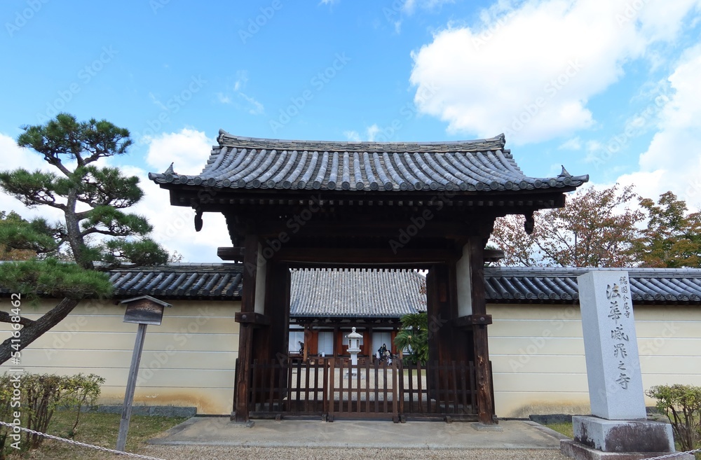 A Japanese temple : a scene of the entrance gate to the precincts of Hokke-ji Temple in Nara City in Nara Prefecture 奈良県奈良市にある法華寺境内への入り口門の風景