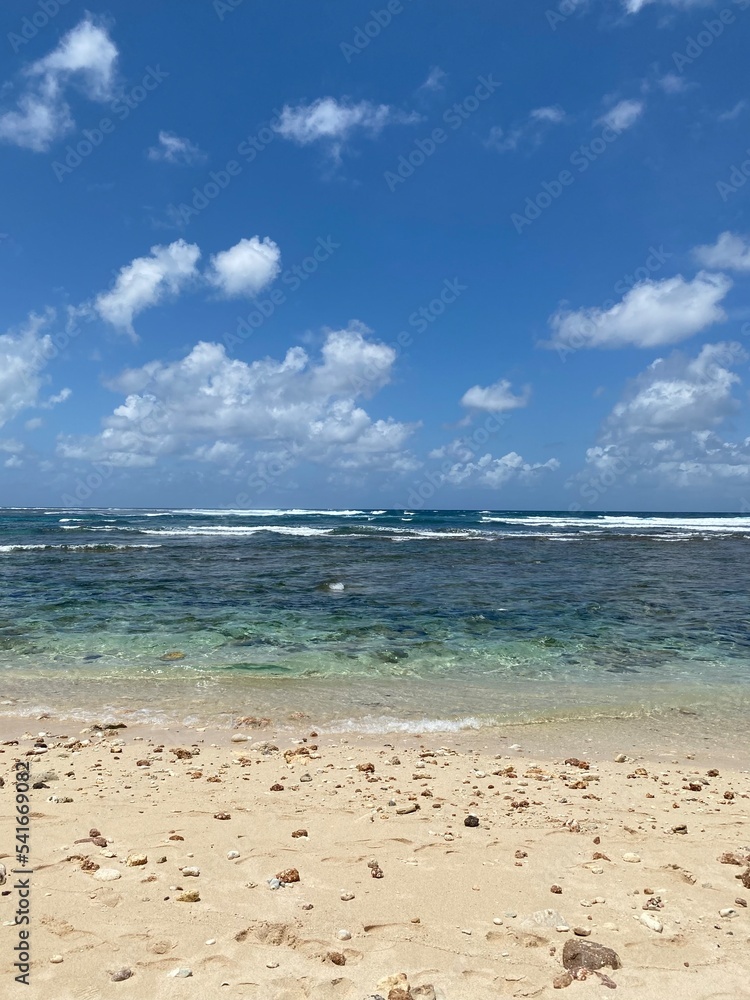 beach and sea