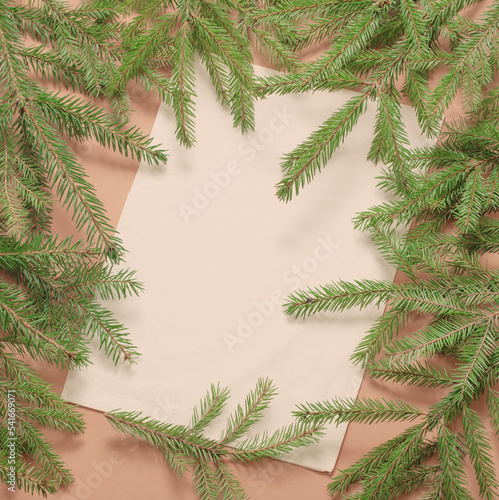 vintage christmas background with fir branches