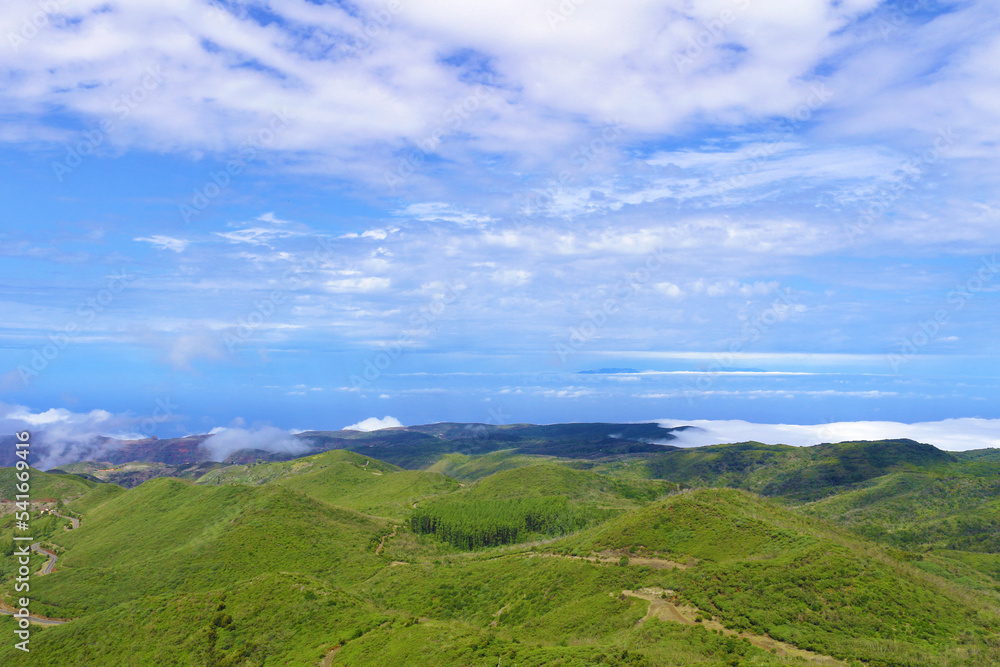 Fototapeta premium Alto de Garajonay, La Gomera
