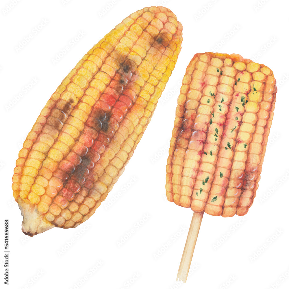 Watercolor illustration of Korean Grilled Corn on the Cob isolated on ...