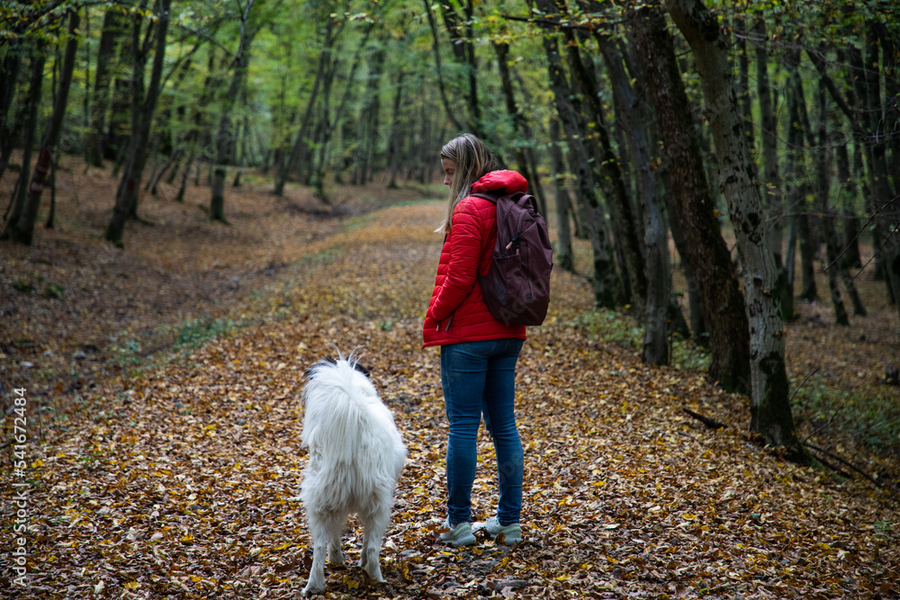 happy woman and white dog enjoying autumn forest landscape happy woman and white dog enjoying autumn forest landscape