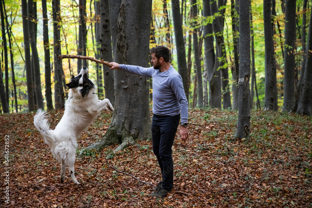 Obraz premium man and dog playing in autumn forest