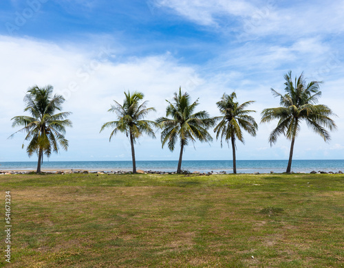 Cinq palmiers au bord de la mer © Marc