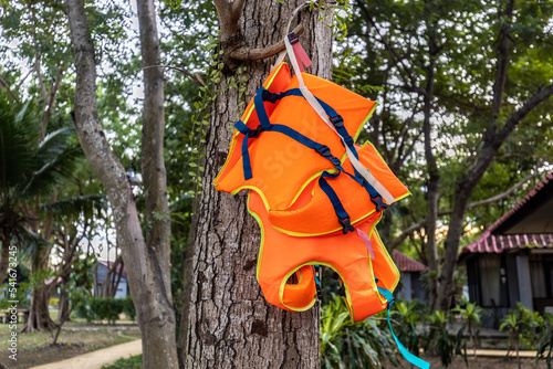 Deux gilets de sauvetage sur un arbre photo