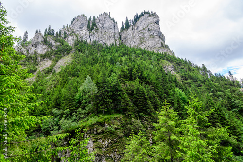 Scenic view from Zanoagei Gorges (Cheile Zanoagei)  in the natural park from Bucegi Mountains (Muntii Bucegi) in Romania in a sunny summer day with white clouds. photo