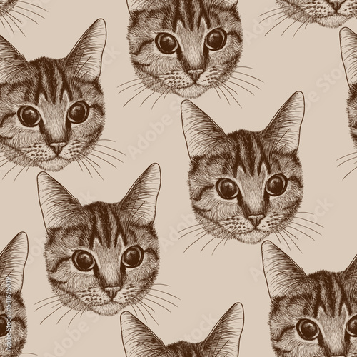 Seamless vector pattern of the muzzle of a striped cat in the style of engraving