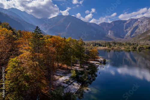 Fototapeta Naklejka Na Ścianę i Meble -  Autumn on Lake Bohinj, Slovenia drone photo