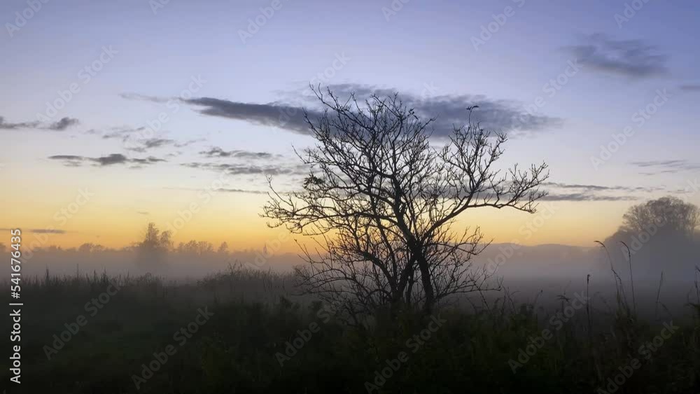 Atmospheric sunset on a meadow covered with fog. Atmospheric sunset on a meadow covered with fog.
