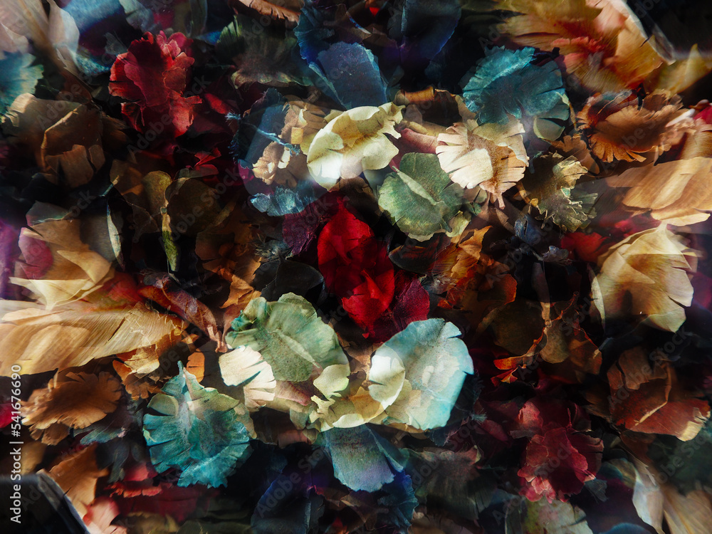 Blurred image on the background of various colored flower petals. Concept of background in design. Blurred image on the background of various colored flower petals. Concept of background in design.
