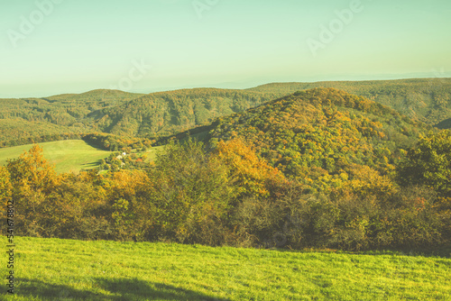 Rural landscape with green fields and forests.Autumn season.