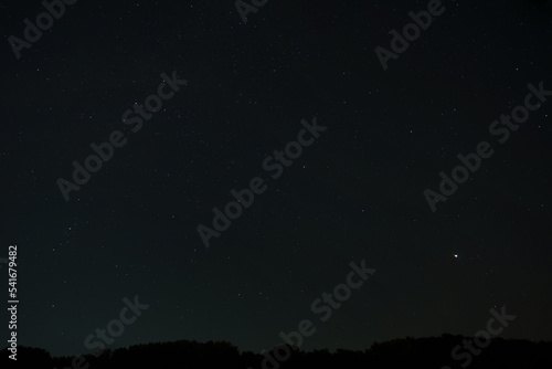 night sky with stars, dark forest and black silhouette of trees as background
