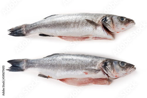 Sea bass fish. Two peeled raw sea bass on a white background