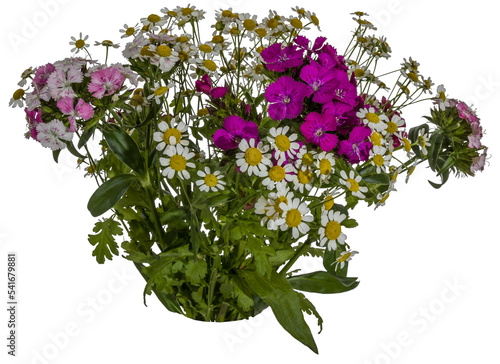 Bouquet of flowers - flowers isolated on transparent background - png - image compositing footage