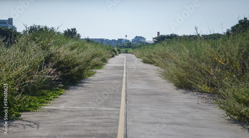 beautiful two lane concrete road.Old concrete road.Concrete road surrounded by deserted forest.desolate road.Longitudinal Joint