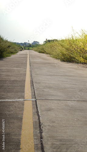 beautiful two lane concrete road.Old concrete road.Concrete road surrounded by deserted forest.desolate road.Longitudinal Joint